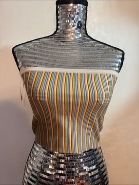 Retro Style Stripe Bandeau Top NWT